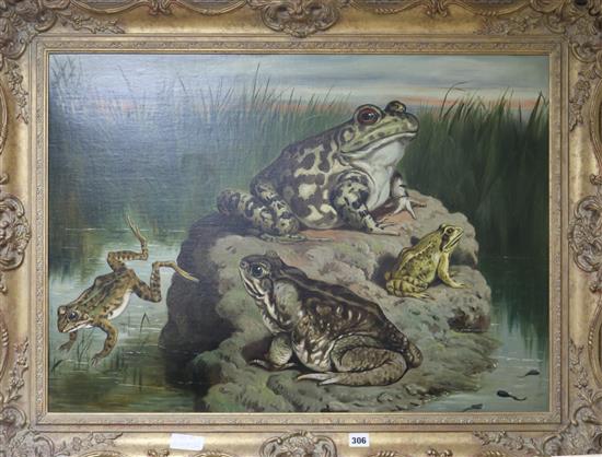 English School, oil on canvas, frogs and toads in a pond, 56 x 78cm